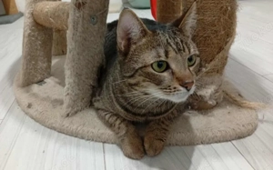 Mylene: Schüchtern aber von Herzen freundlich Bild 4