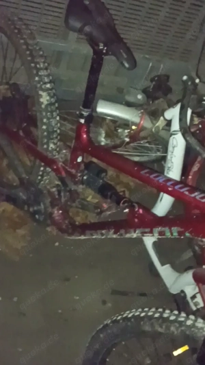 Downhill Polygon Rahmen