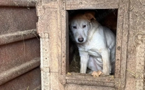 Stille Augen, die nach Frieden suchen: Cathy braucht ein Wunder