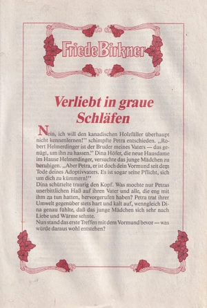 Friede Birkner, Band 27, Verliebt in graue Schläfen  Bild 3
