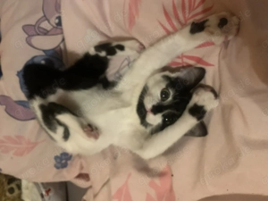 Ich dergleichen ausziehen 