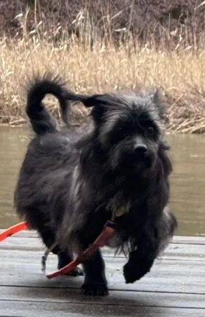 Lenor könnte Geschichten erzählen... aber sie will nur Liebe   PLZ 82284