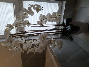 Orchidee künstlich weiß 135 cm hoch täuschend echt 6 Triebe