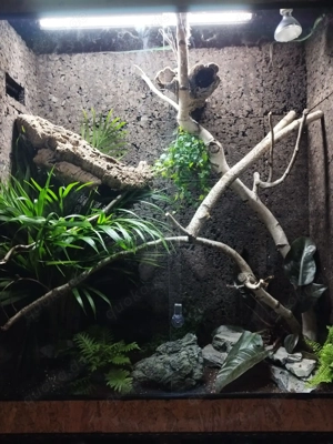 XXL Terrarium komplett 