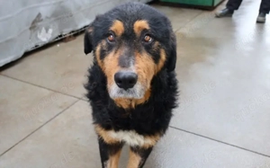 Nielson: groß, ausgeglichen und liebenswert