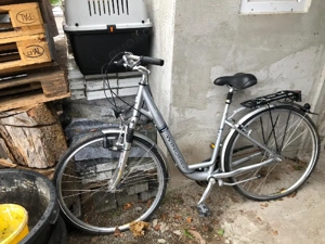 Damen Fahrrad 