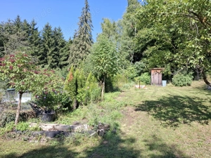Gartengrundstück in der Nähe von Aalen - ruhige Lage Bild 4