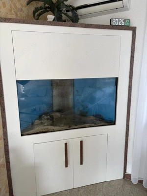 Seewassereckaquarium mit Filterbecken