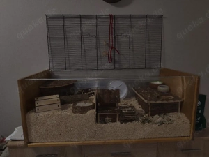 Hamsterkäfig und Zubehör 