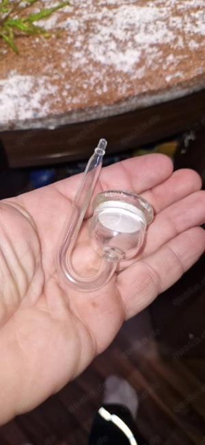 Aquarium 190l Eck zu verschenken  Komplett mit Fische un Pflanzen  Decko  Bild 2