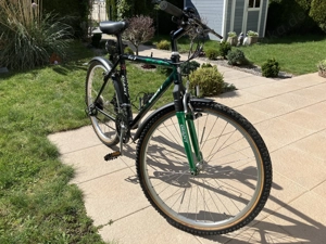 Mountainbike Jugend  Herren GIANT "Terrago" 26" Bild 2