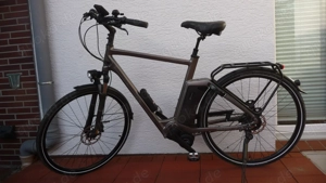 Herren und Damen E-Bikes Raleigh Newgate Premium 8 Gang Riemenantrieb