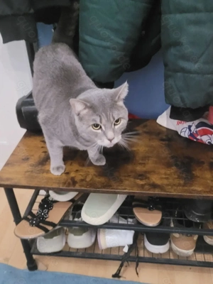 Murkel sucht dringend ein neues Zuhause