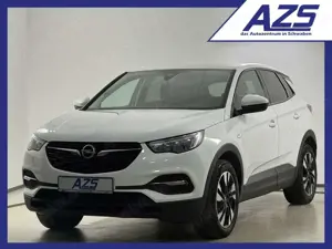 Opel Grandland X CDTI Edition AHK Navi Kamera apple