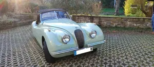 Jaguar Others Bild 1