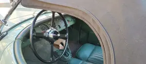 Jaguar Others Bild 2