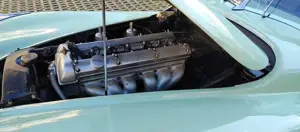 Jaguar Others Bild 5