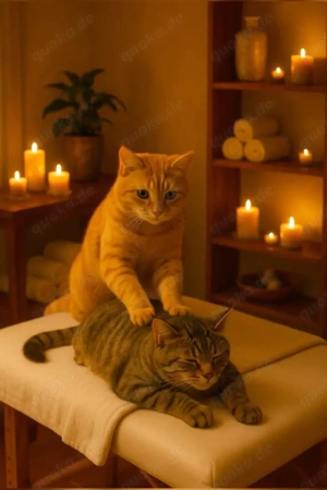 Professionelle Massagepraxis   Qualität, Vertrauen und Diskretion