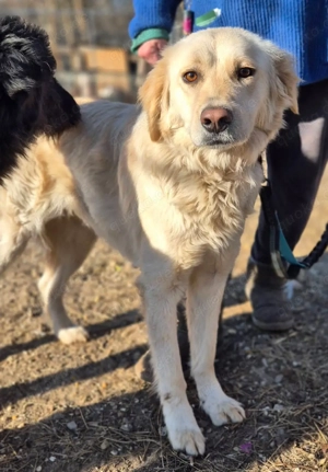      Belinda sucht ihr Körbchen     