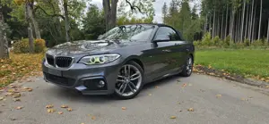 BMW 220 220i Cabrio M Sport