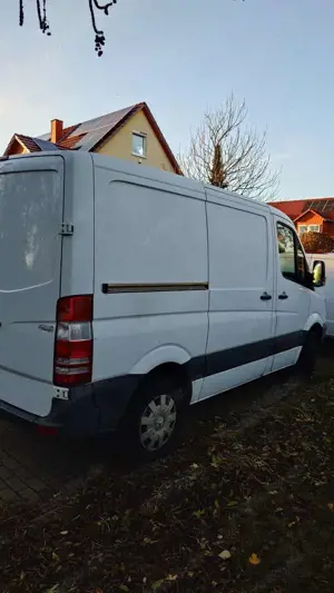 Mercedes-Benz Sprinter 213 CDI Sprinter 906.213 Aut. EEV