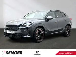 CUPRA Terramar VZ 2.0 TSI DSG 4Drive AHK Matrix Pano.