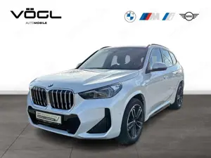 BMW X1 sDrive20i M Sportpaket HK HiFi DAB LED Shz