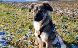 Eyra freut sich auf ihr neues Leben