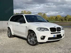 BMW X5 Drive30d | M Sport |BMW Individual Criollo Braun