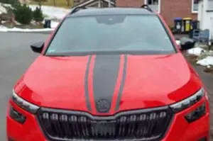 Skoda Kamiq Kamiq 1.0 TSI DSG Monte Carlo