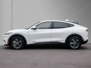 Ford Mustang Mach-E Navi ACC BO Bild 5