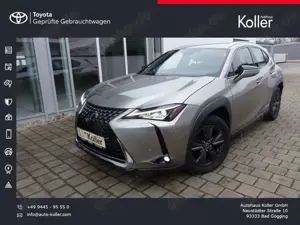Lexus UX 250h Launch Edition Navi Kamera Velours DAB