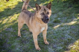 *DJAGO* - entspannt mit seiner Familie leben