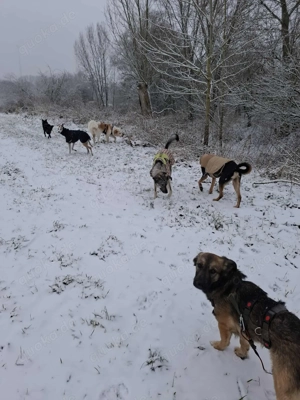 Pino - ist offen und interessiert