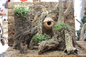 Junge Chinesische Streifenhamster Bild 6