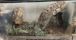 Terrarium zu verschenken 80x40x50 