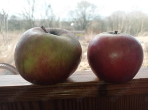 wer braucht das nicht?