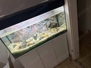 Aquarium mit zubehör