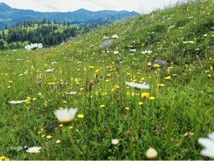 Wer startet mit mir in den Frühling. 