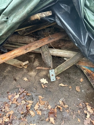 Feuerholz  Abrissholz