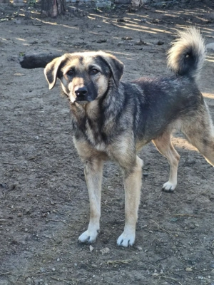 Rita ist schüchtern und zurückhaltend