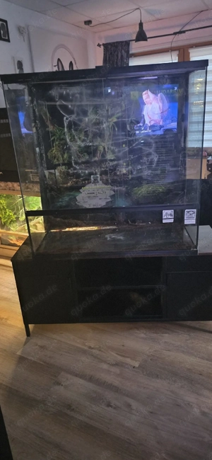 Nur heute 170  Festpreis 