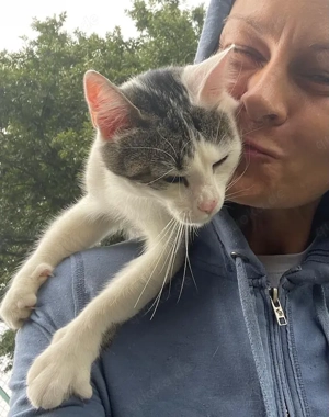 Luna sucht dringend ein neues Zuhause!