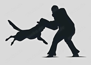 Suche Schutzhund Malinois o. Herder 