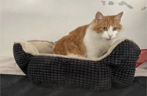 LUCY- freundlich, entspannt, sozial