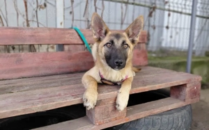 Yumiko - süß und menschenbezogen Bild 5