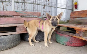 Yumiko - süß und menschenbezogen Bild 2