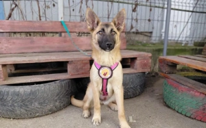 Yumiko - süß und menschenbezogen Bild 3