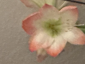 Diskret diskrete Beziehung Sehr Schlanke Figur Frau gesucht ob jung und älter Frau 