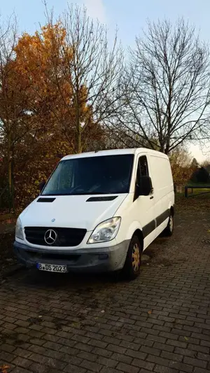 Mercedes-Benz Sprinter 213 CDI Sprinter 906.213 Aut. EEV